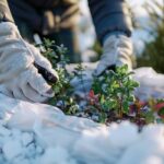 Comment bien installer votre voile d'hivernage pour protéger vos plantes